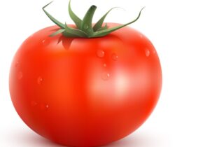 Tomato